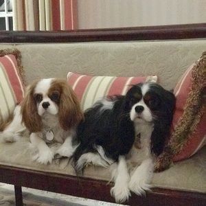 Meet your Posher, Laura